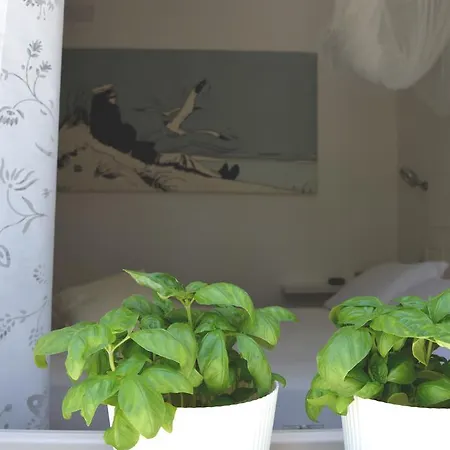 Muriska Guest house